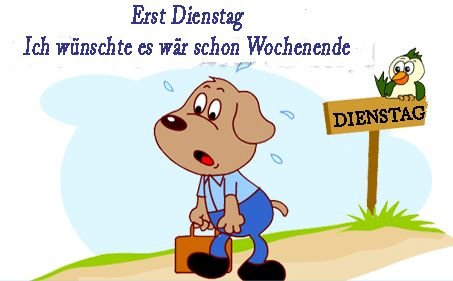 d93473ac289181ab798240d1441e8379.jpg