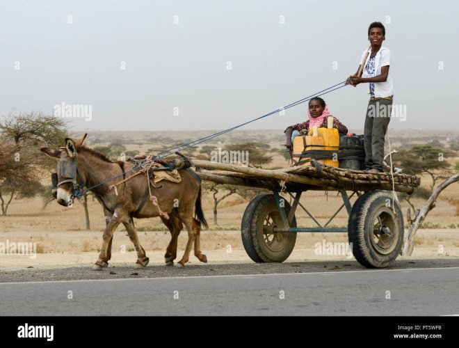 athiopien-oromia-esel-wagen-auf-der-strasseaethiopien-oromia-eselskarren-pt5wfb.jpg