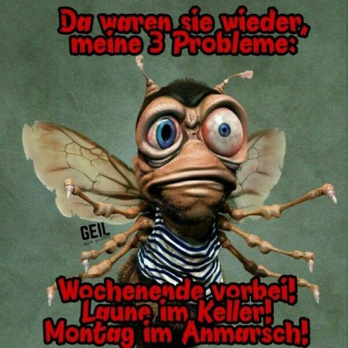 Montag-bilder-25.jpg