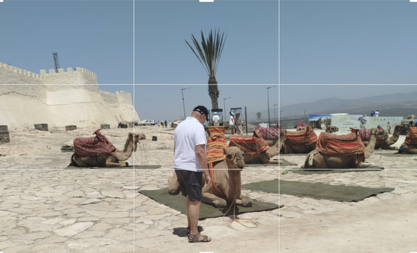 Screenshot_20240805-215212_Trebuchet.png