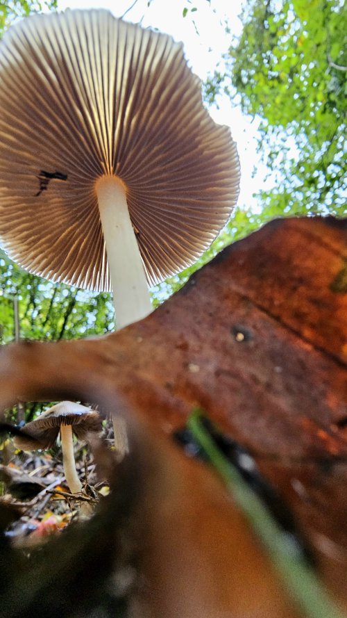 20241019_105634(0).jpg