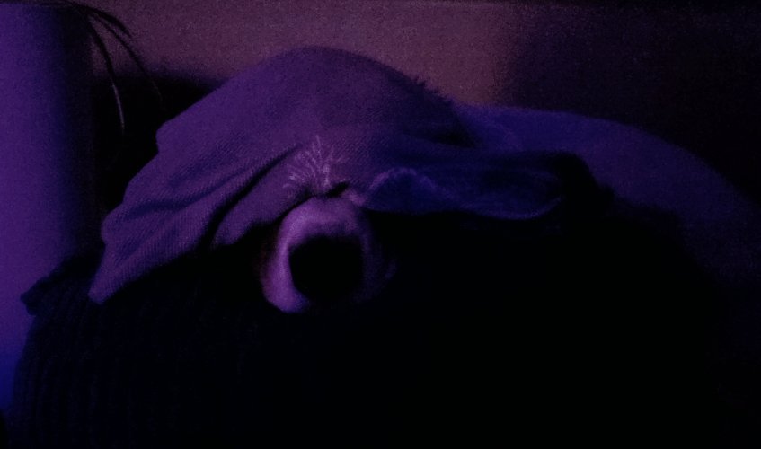 20250301_011751.jpg