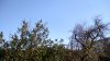 IMG_20161206_130640_HDR.jpg
