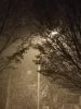 IMG_20170101_192833.jpg