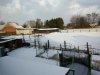 IMG_20170102_100517.jpg