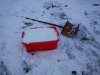 IMG_20170102_162539.jpg