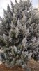 IMG_20170103_112003_HDR.jpg
