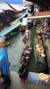 IMG_20170227_101201.jpg
