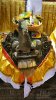 IMG_20170309_121525.jpg