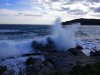 IMG_20170304_164439.jpg