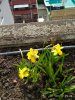 Frühling 2017.jpg