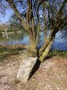 IMG_20170401_134443.jpg