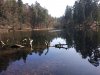 IMG_20170409_145930.jpg
