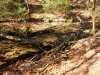 IMG_20170409_151929.jpg