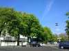IMG_20170506_102607.jpg