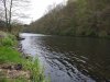 IMG_20170501_105953.jpg