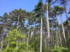 IMG_20170506_111657.jpg