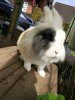 2017-05-07 15.39.41.jpg