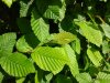 IMG_20170518_152632.jpg