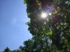 IMG_20170518_152818.jpg