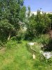 Garten 21.5.17.jpg