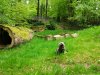 2017-05-14 14.08.06.jpg