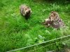 2017-05-14 14.11.52.jpg
