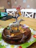 IMG_20170525_163216.jpg