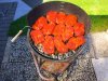 IMG_20170527_115941.jpg