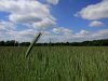 2017-05-25 15.27.37.jpg
