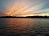 IMG_20170621_220356.jpg