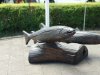 IMG_20170620_125123.jpg
