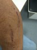 IMG_20170704_142221.jpg