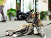 IMG_20170706_175501.jpg