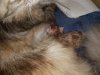 IMG_20170708_151110.jpg