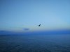 IMG_20170718_204711.jpg