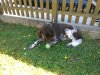 IMG_20170517_125641.jpg
