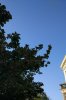 IMG_20170915_075933-648x970.jpg