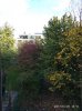 herbst.jpg