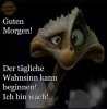 FB_IMG_1509345674539.jpg