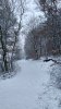 IMG_20171203_131046_HDR.jpg