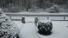 IMG_03122017_090110.jpg