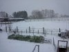 IMG_20171209_091411.jpg