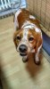 IMG_16122017_164345_HDR.jpg