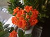 IMG_20171219_094632.jpg