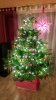 IMG_20171222_220430_HDR.jpg