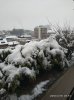 Winter Mitte März.jpg