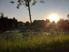 IMG_20180515_062958.jpg